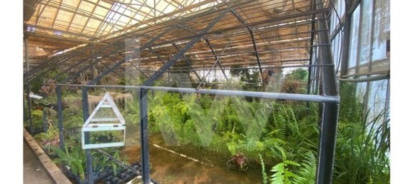 22719m² Land in Lagoa, Portugal No. 61354 28