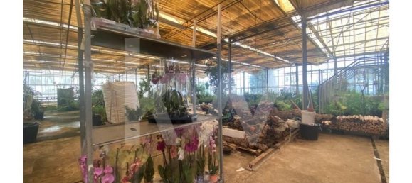 22719m² Land in Lagoa, Portugal No. 61354 33