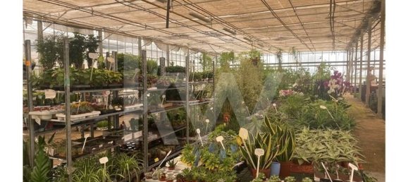 22719m² Land in Lagoa, Portugal No. 61354 50