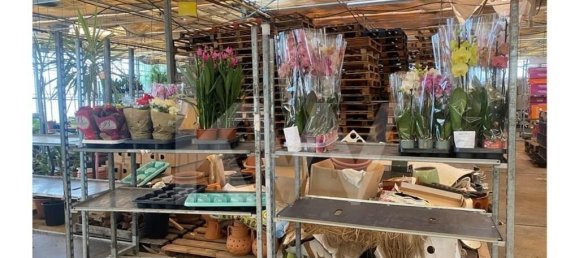 22719m² Land in Lagoa, Portugal No. 61354 32