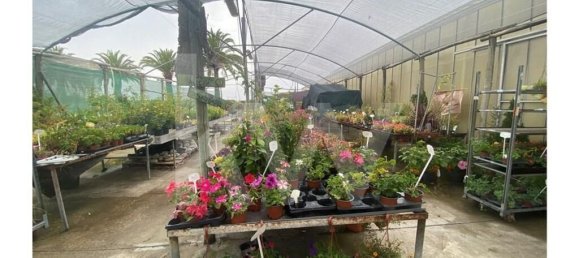 22719m² Land in Lagoa, Portugal No. 61354 19