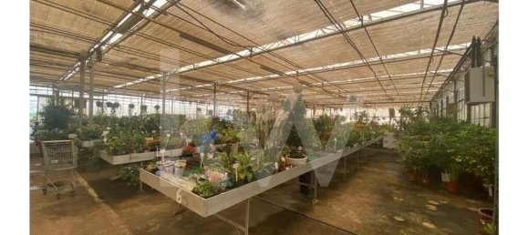 22719m² Land in Lagoa, Portugal No. 61354 45