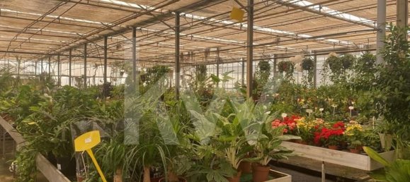 22719m² Land in Lagoa, Portugal No. 61354 23