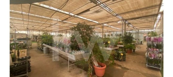 22719m² Land in Lagoa, Portugal No. 61354 22