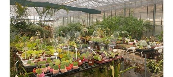 22719m² Land in Lagoa, Portugal No. 61354 44