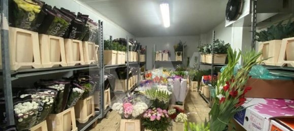 22719m² Land in Lagoa, Portugal No. 61354 27