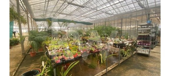 22719m² Land in Lagoa, Portugal No. 61354 43