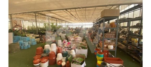 22719m² Land in Lagoa, Portugal No. 61354 11