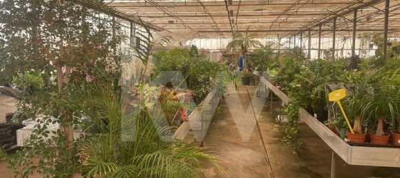 22719m² Land in Lagoa, Portugal No. 61354 21