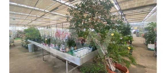 22719m² Land in Lagoa, Portugal No. 61354 14