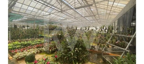 22719m² Land in Lagoa, Portugal No. 61354 34