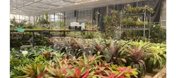 22719m² Land in Lagoa, Portugal No. 61354 40