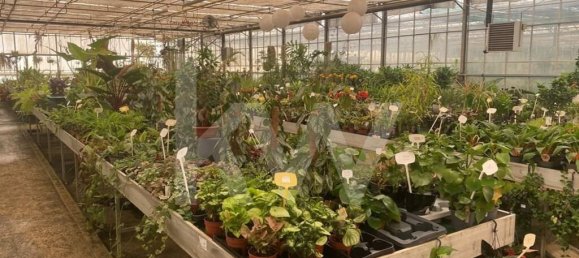 22719m² Land in Lagoa, Portugal No. 61354 24