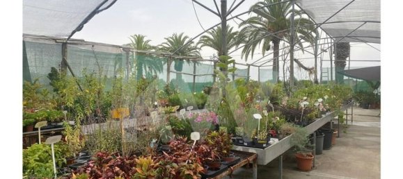 22719m² Land in Lagoa, Portugal No. 61354 17