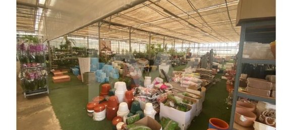 22719m² Land in Lagoa, Portugal No. 61354 12