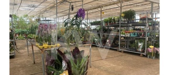 22719m² Land in Lagoa, Portugal No. 61354 47