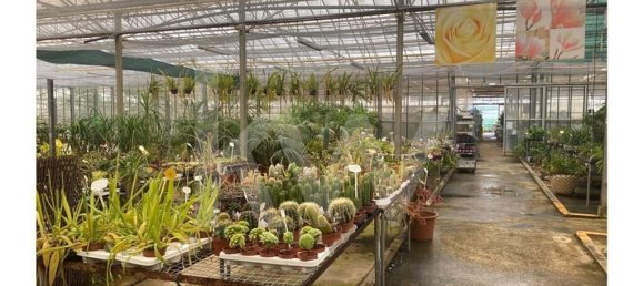 22719m² Land in Lagoa, Portugal No. 61354 35