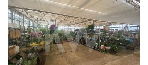 22719m² Land in Lagoa, Portugal No. 61354 48