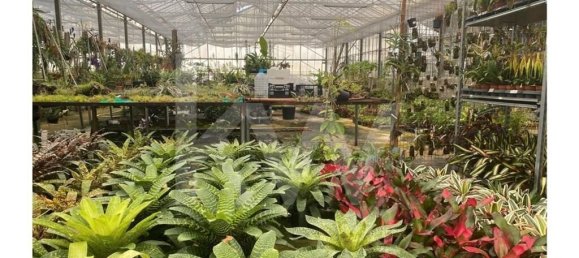 22719m² Land in Lagoa, Portugal No. 61354 36