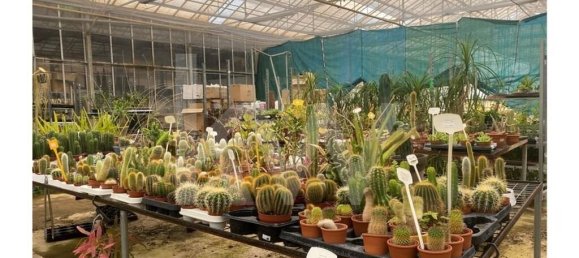 22719m² Land in Lagoa, Portugal No. 61354 39