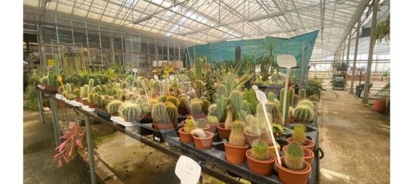 22719m² Land in Lagoa, Portugal No. 61354 38