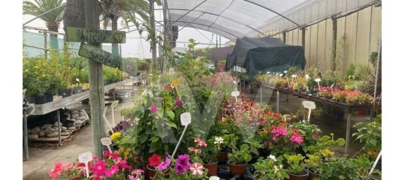 22719m² Land in Lagoa, Portugal No. 61354 18