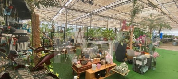 22719m² Land in Lagoa, Portugal No. 61354 8