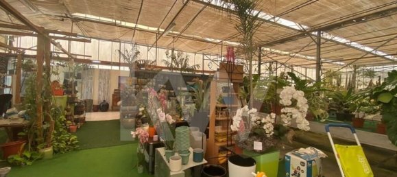 22719m² Land in Lagoa, Portugal No. 61354 9