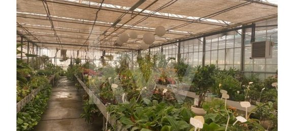 22719m² Land in Lagoa, Portugal No. 61354 49