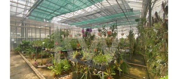 22719m² Land in Lagoa, Portugal No. 61354 42