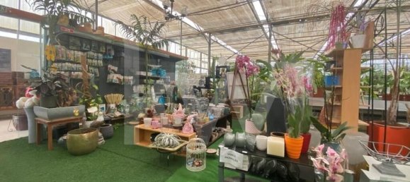 22719m² Land in Lagoa, Portugal No. 61354 7