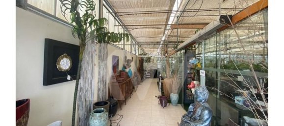 22719m² Land in Lagoa, Portugal No. 61354 4