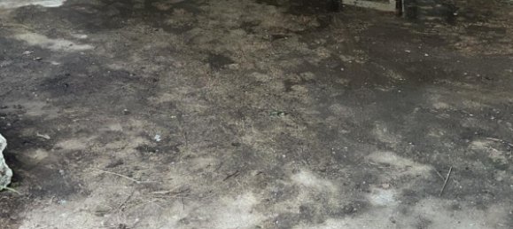 6 bedrooms House in Vogelsbergkreis, Germany No. 243698 3