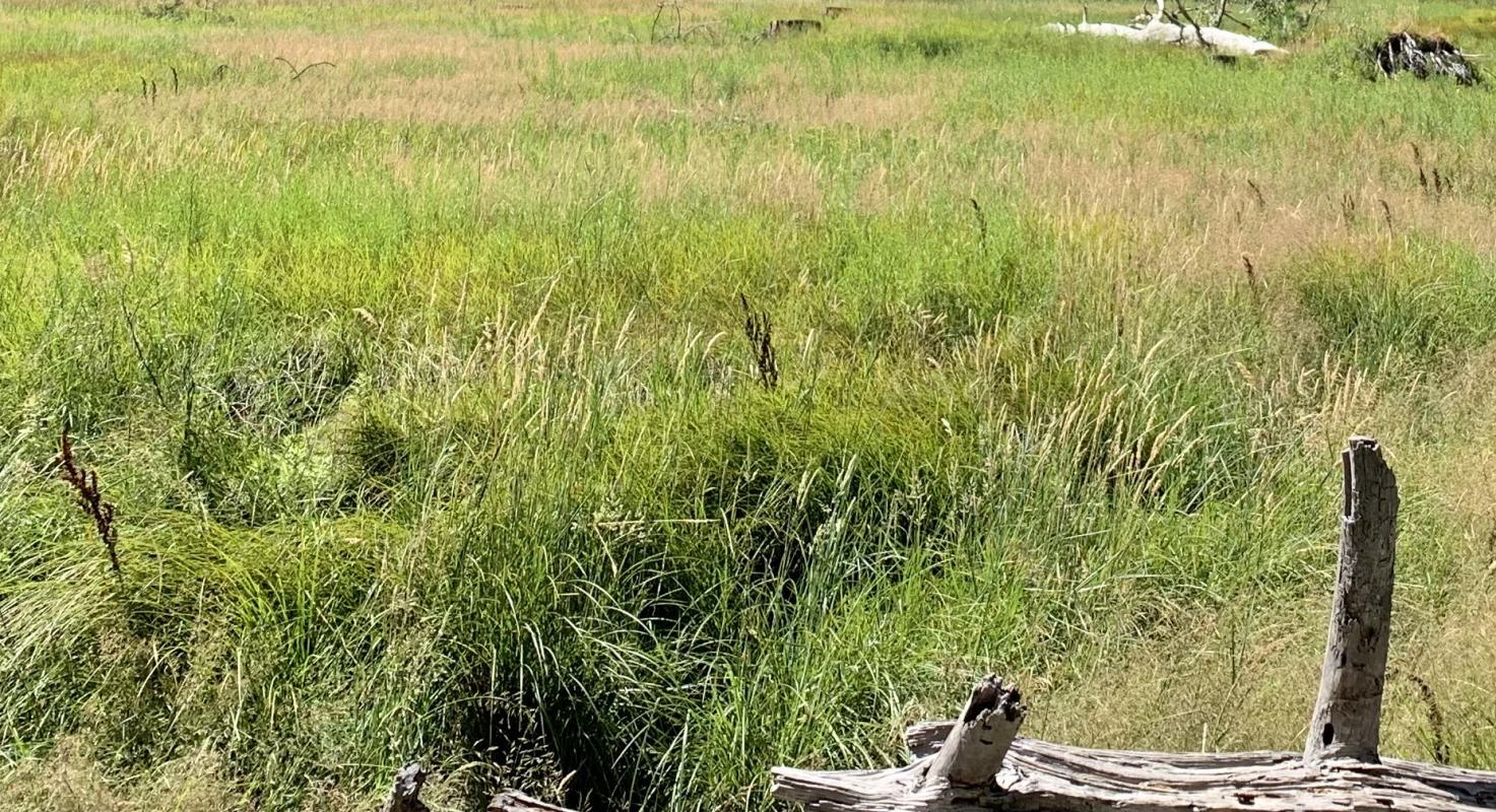 Grundstück in Eysines, France, Nr. 119129