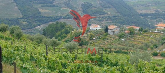 8 Schlafzimmer Grundstück in Vila Real, Portugal, Nr. 146521 23