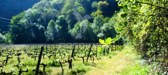 8 Schlafzimmer Grundstück in Vila Real, Portugal, Nr. 146521 38