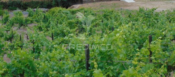 8 Schlafzimmer Grundstück in Vila Real, Portugal, Nr. 146521 31