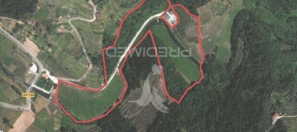 8 Schlafzimmer Grundstück in Vila Real, Portugal, Nr. 146521 26