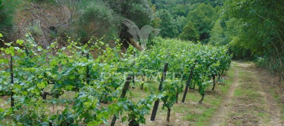 8 Schlafzimmer Grundstück in Vila Real, Portugal, Nr. 146521 36