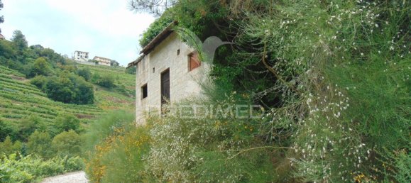 8 Schlafzimmer Grundstück in Vila Real, Portugal, Nr. 146521 29