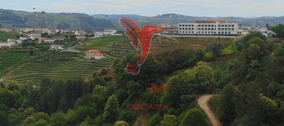 8 Schlafzimmer Grundstück in Vila Real, Portugal, Nr. 146521 24