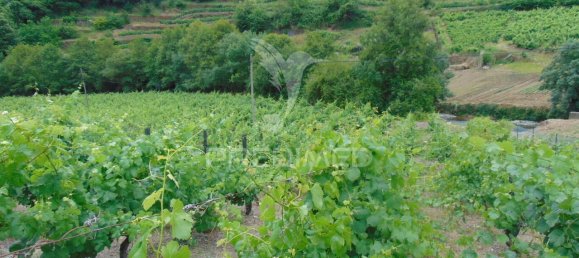 8 Schlafzimmer Grundstück in Vila Real, Portugal, Nr. 146521 30