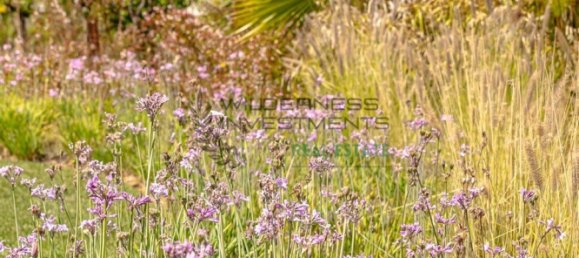  Hotel in Luz, Portugal No. 135948 31