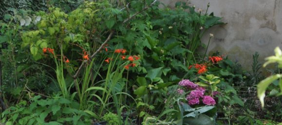 2 bedrooms House in Epernay, France No. 257467 10