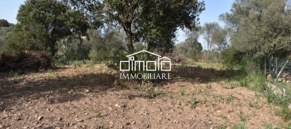 Terrain à Loiri Porto San Paolo, Italy 1488m² No. 117329 14