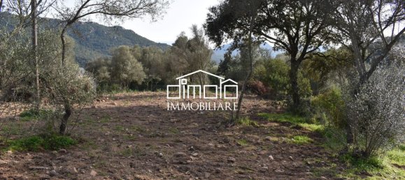 Terrain à Loiri Porto San Paolo, Italy 1488m² No. 117329 7