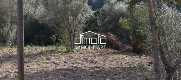 Terrain à Loiri Porto San Paolo, Italy 1488m² No. 117329 10