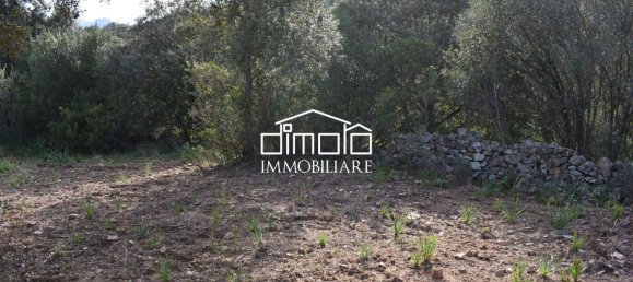 Terrain à Loiri Porto San Paolo, Italy 1488m² No. 117329 8