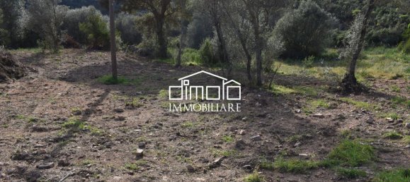 Terrain à Loiri Porto San Paolo, Italy 1488m² No. 117329 5