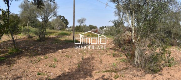 Terrain à Loiri Porto San Paolo, Italy 1488m² No. 117329 15